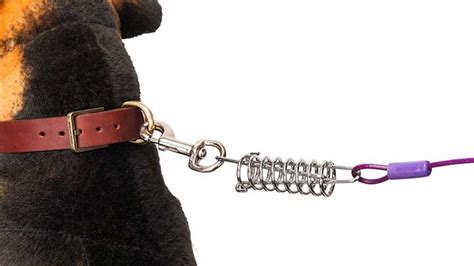 11 Best Outdoor Dog Chains and Tie.